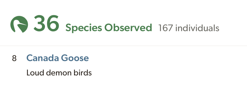 eBird checklist with 36 species observed, 167 individuals. 8 Canada Goose are listed with the note ‘Loud demon birds’